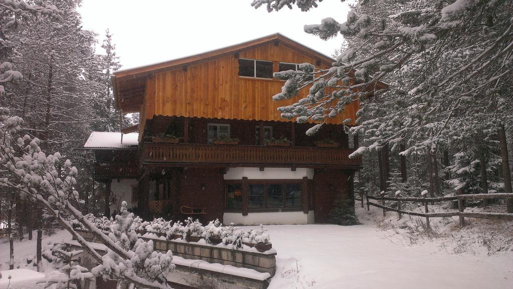 سان فيجيليو دي ماريبْ B&B Villa Dolomites Hut المظهر الخارجي الصورة